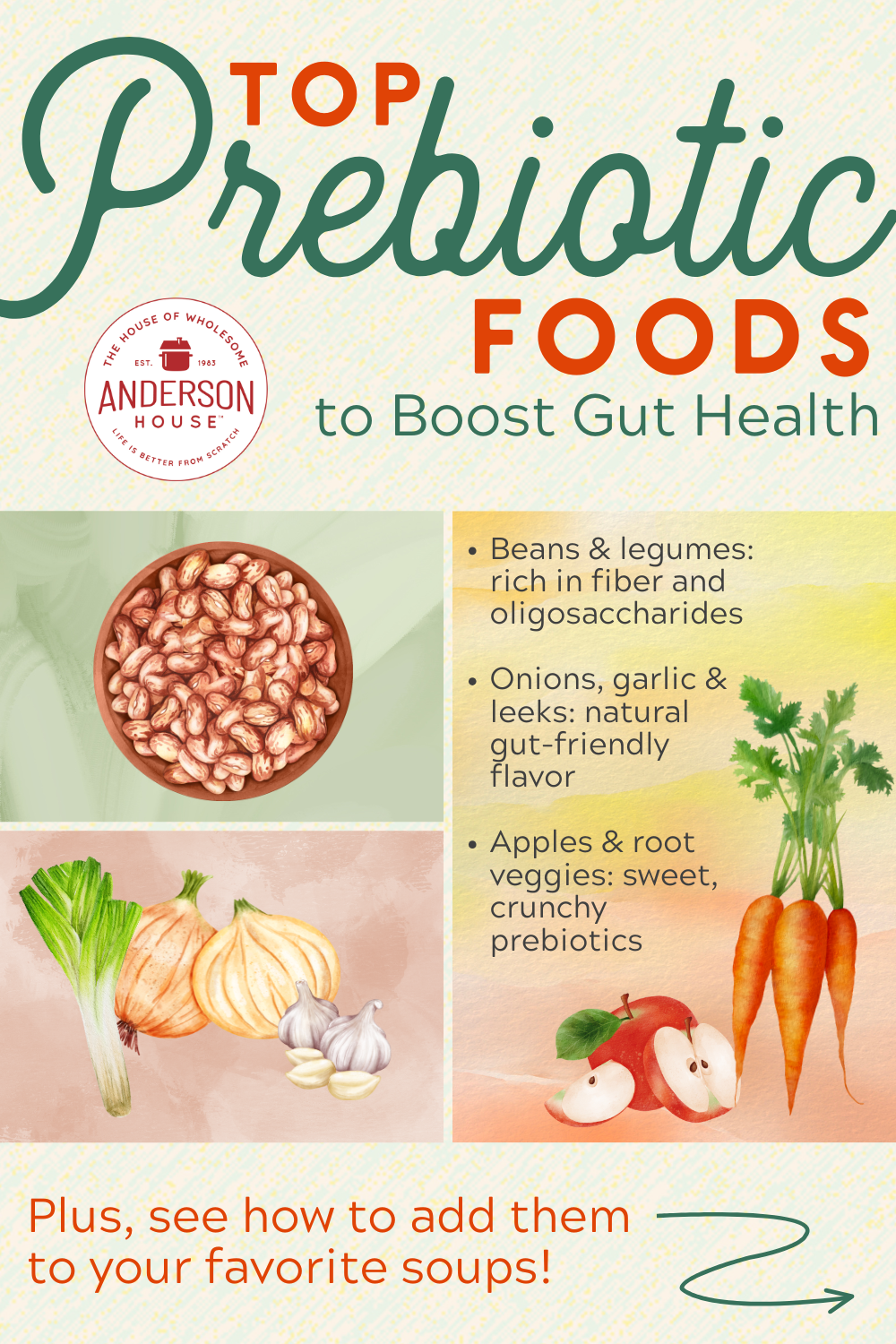 Top Prebiotic Foods Beans, Legumes & Gut Health Benefits
